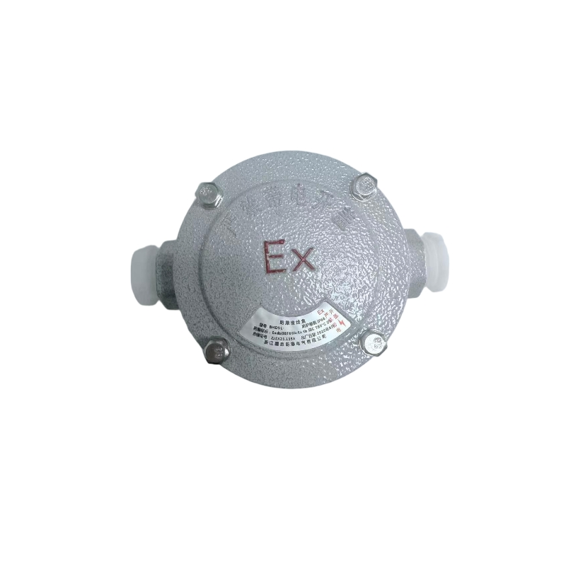 Explosion-Proof Junction Box B-2W-F for Safe Electrical Use
