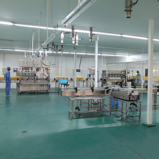 Fully Automatic Detergent Liquid Making Machine for Manufacturing Plant