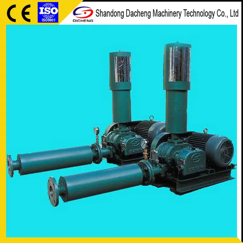 Dsr250 Competitive Price Roots Air Blower Used in Pneumatic Conveying