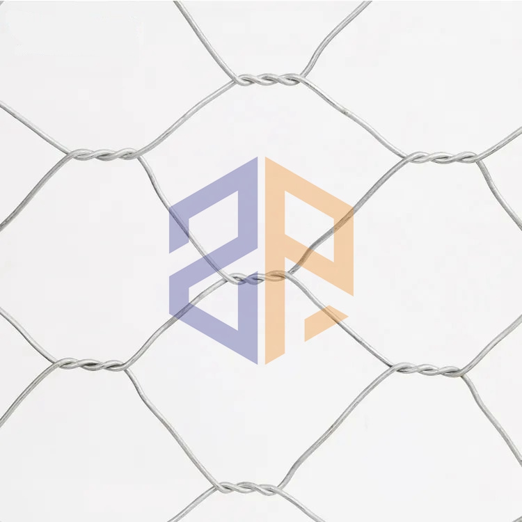 China Factory Galvanized Hexagonal Wire Netting Hexagonal Wire Mesh Chicken Wire Mesh