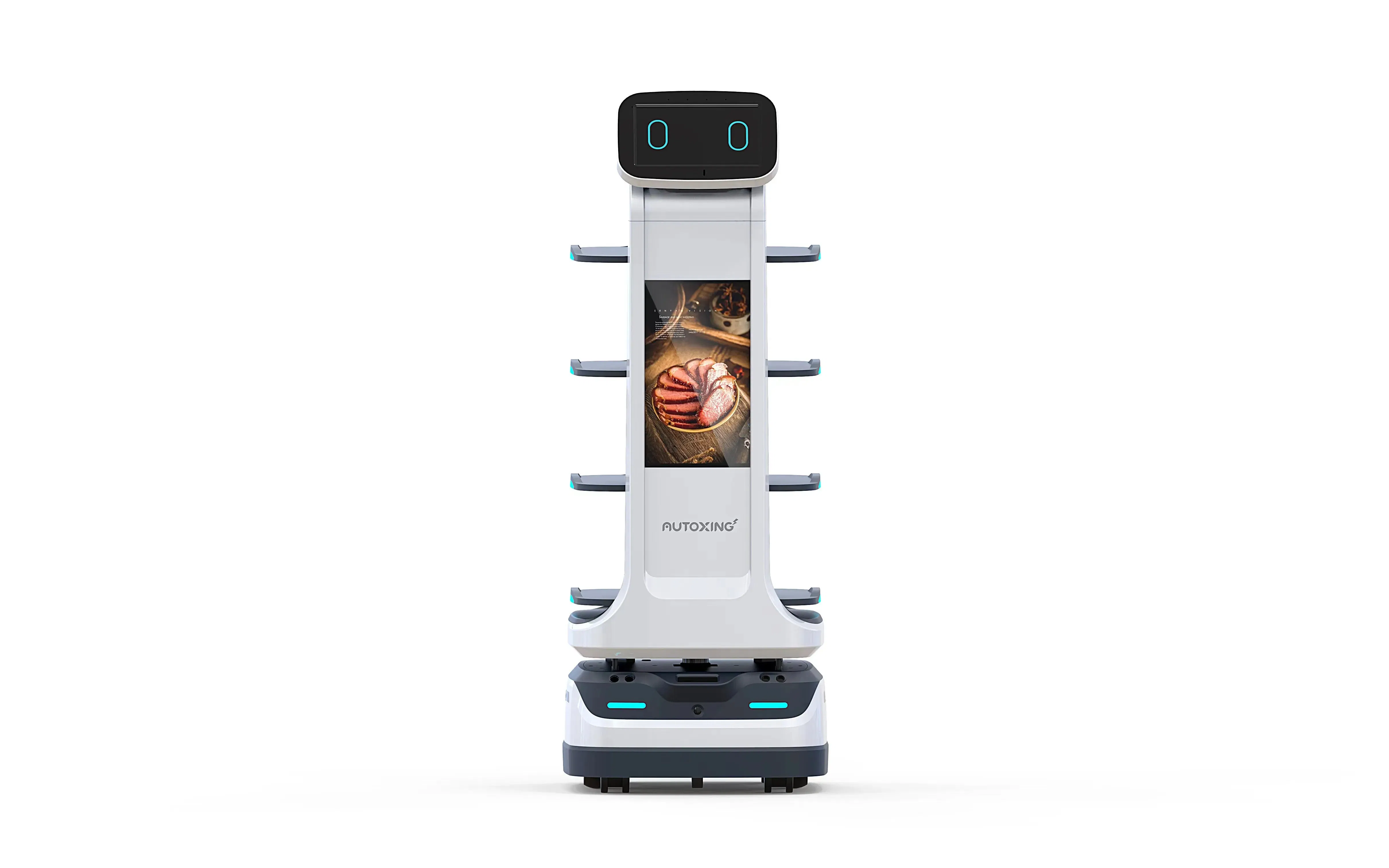 Bipedal Humanoid Robot Autonomous Mobile Robot with Voice Interaction Function