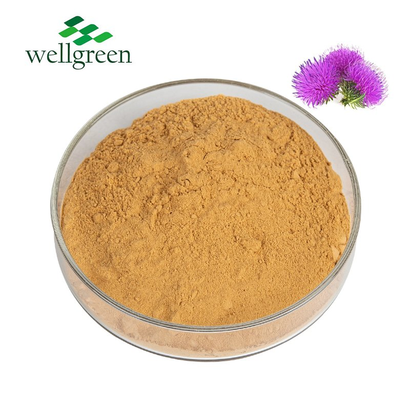 Factory Price Silymarin Bulk Milk Thistle Seed Extract Silymarin Pure Silymarin Extract