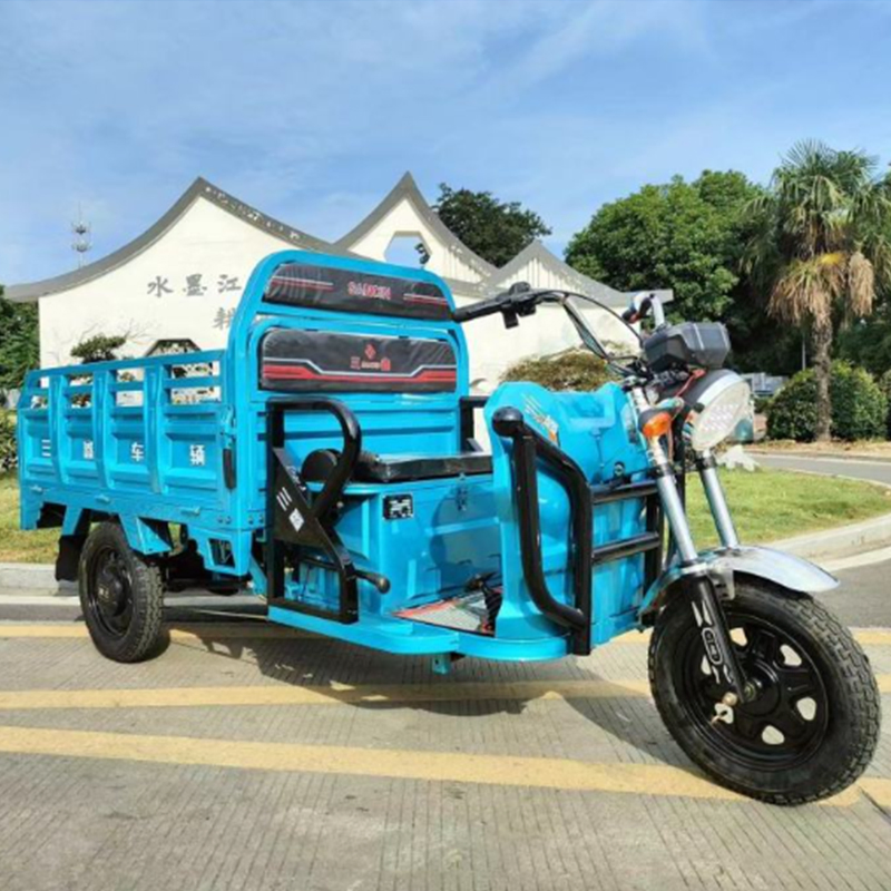 Zongshen Electric-Tricycle with 48V-Battery for Transport/Delivery Crops/Cargo on-Sale