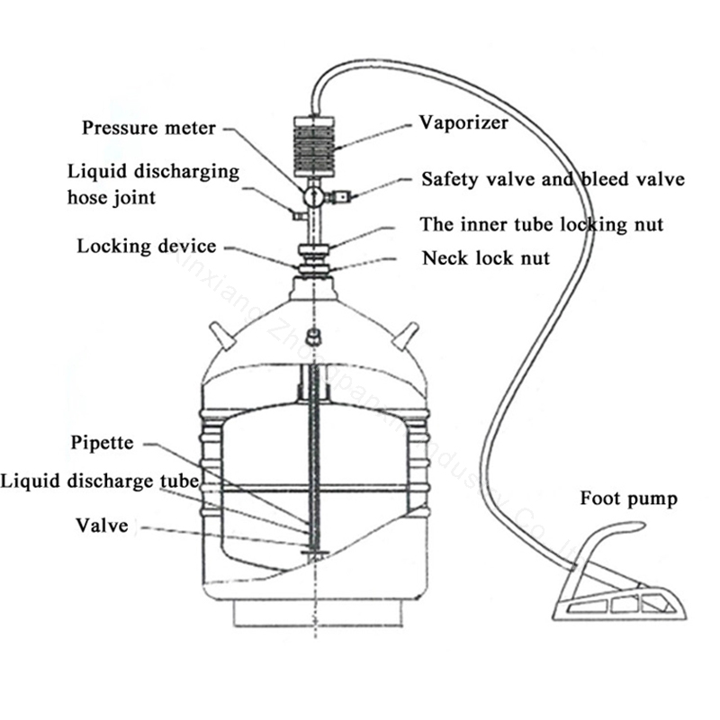 Liquid Nitrogen Withdrawal Device Dispenser Pump with Liquid Nitrogen Hose Pedal for Cryogenic Transfer