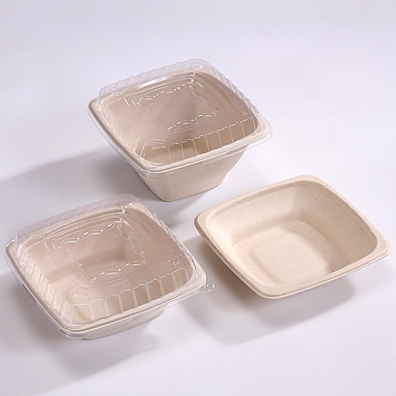 Factory Biodegradable Salad Bowl Disposable Bagasse Tableware