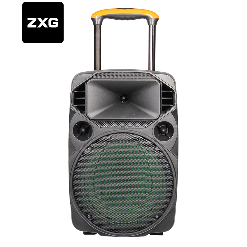Best Quality 12 Inch 30W Plastic with Wireless Mic Outdoor Karaoke DJ Sound Bass System Portable Bluetooth Trolley Speaker