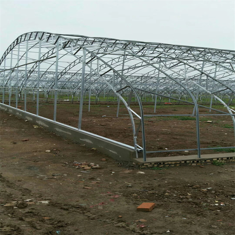 High-Quality C-Shaped Steel Green House for Durable Plant Protection