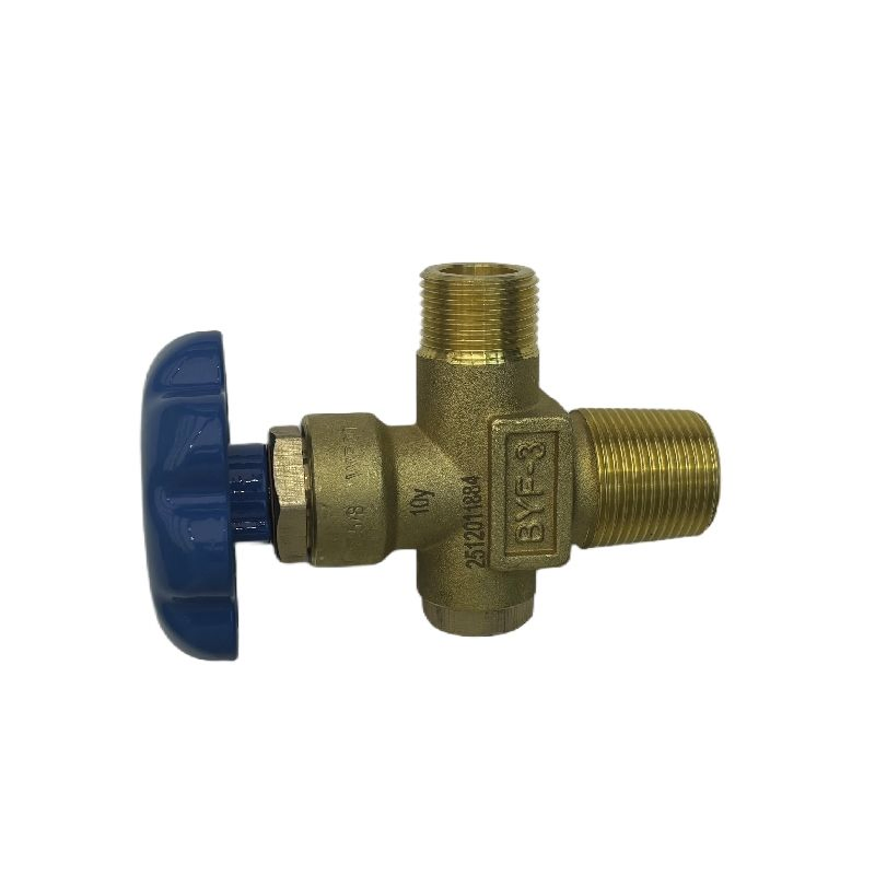 Byf-3 Stable Sealing Gas Globe Valve