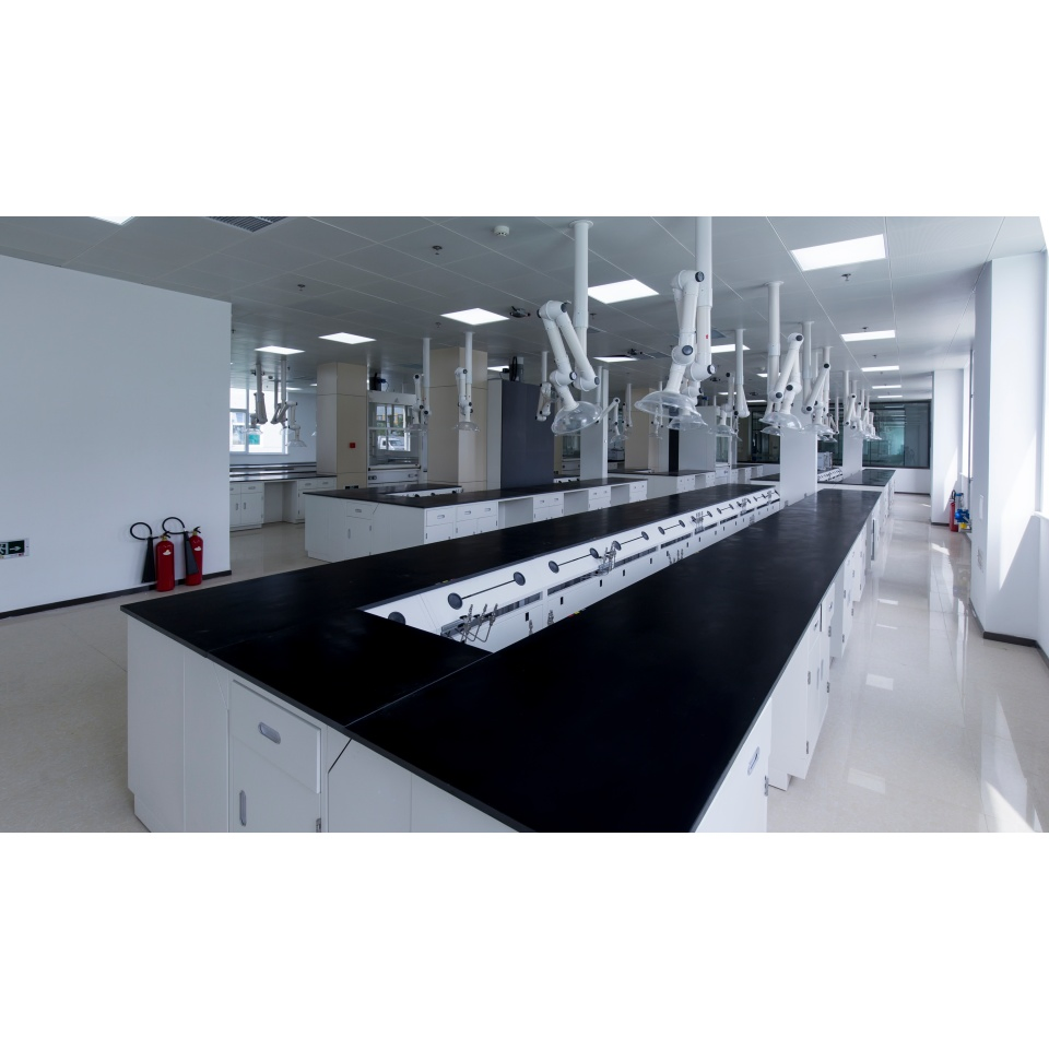 Factory Price Durable Professional School Lab Central Bench for Experiment