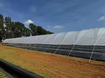 Sheltered Canopy Greenhouse in a Circular Design
