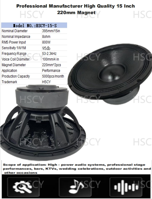 15 Inch Professional Power Speaker Double Magnets PA Speaker