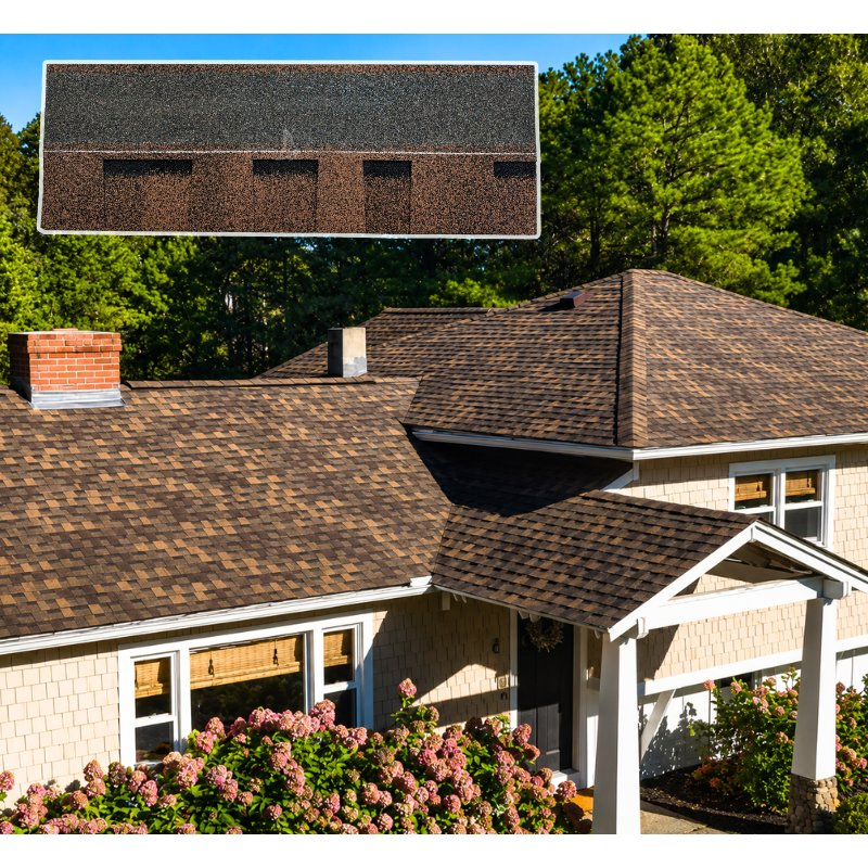 Premium Roof Replacement Algae Resistant Asphalt Roofing Shingles Laminated Asphalt Shingles