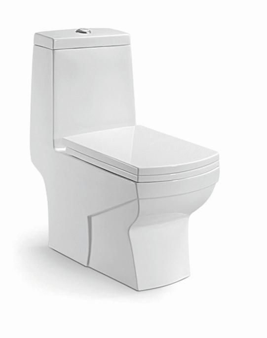 Chaozhou New Arrival Modern Products S Trap One Piece Shower Toilet