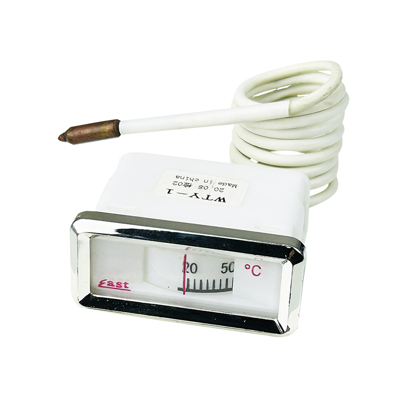 Small Industrial Water Fever Plastic Dial Rectangle Capillary Thermometer Boiler