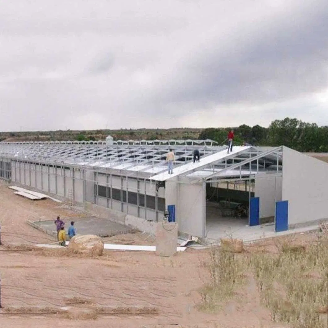 Sustainable Prefabricated Steel Structure Logistics Warehouse Facility for Efficient Storage