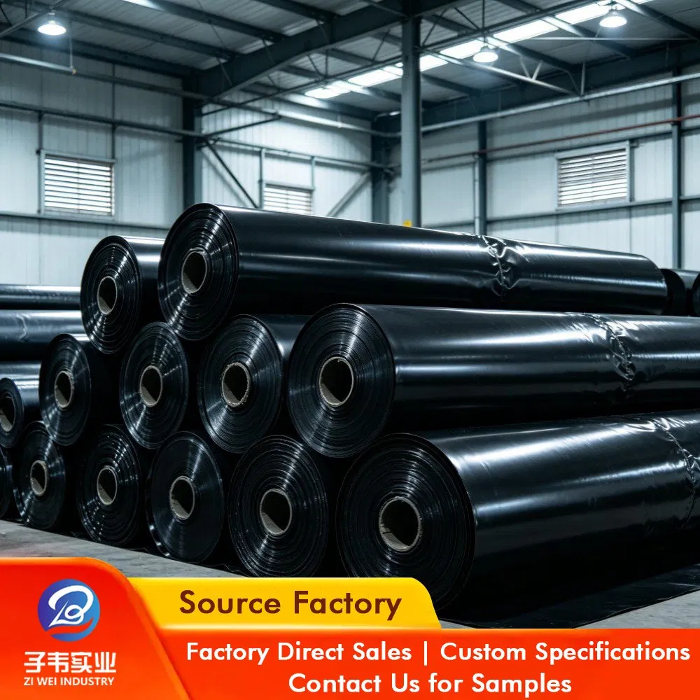 Factory Supply HDPE Geomembrane Anti-Seepage Membrane for Landfill Agriculture Mining Aquaculture Waterproofing