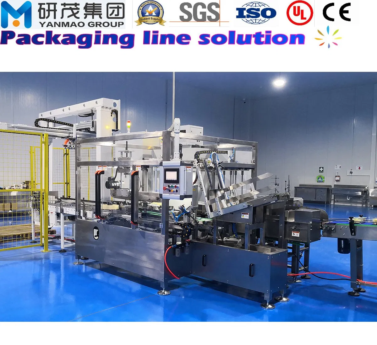 Automatic Servo Control Packing/Packaging Line with Case Erecting and Sealing