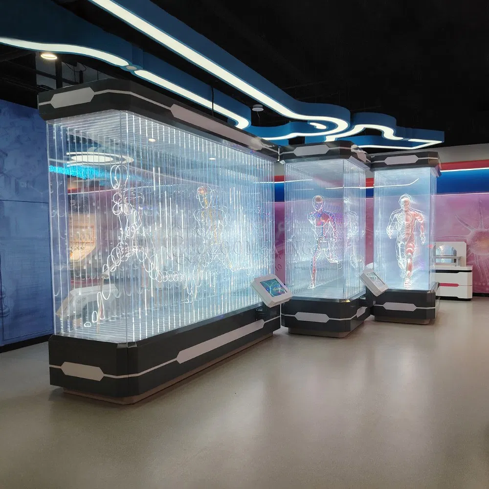 Human Body Science Exhibition Interactive Human Anatomy Display Stem Education Experience Biotechnology Demonstrations Human Body Model