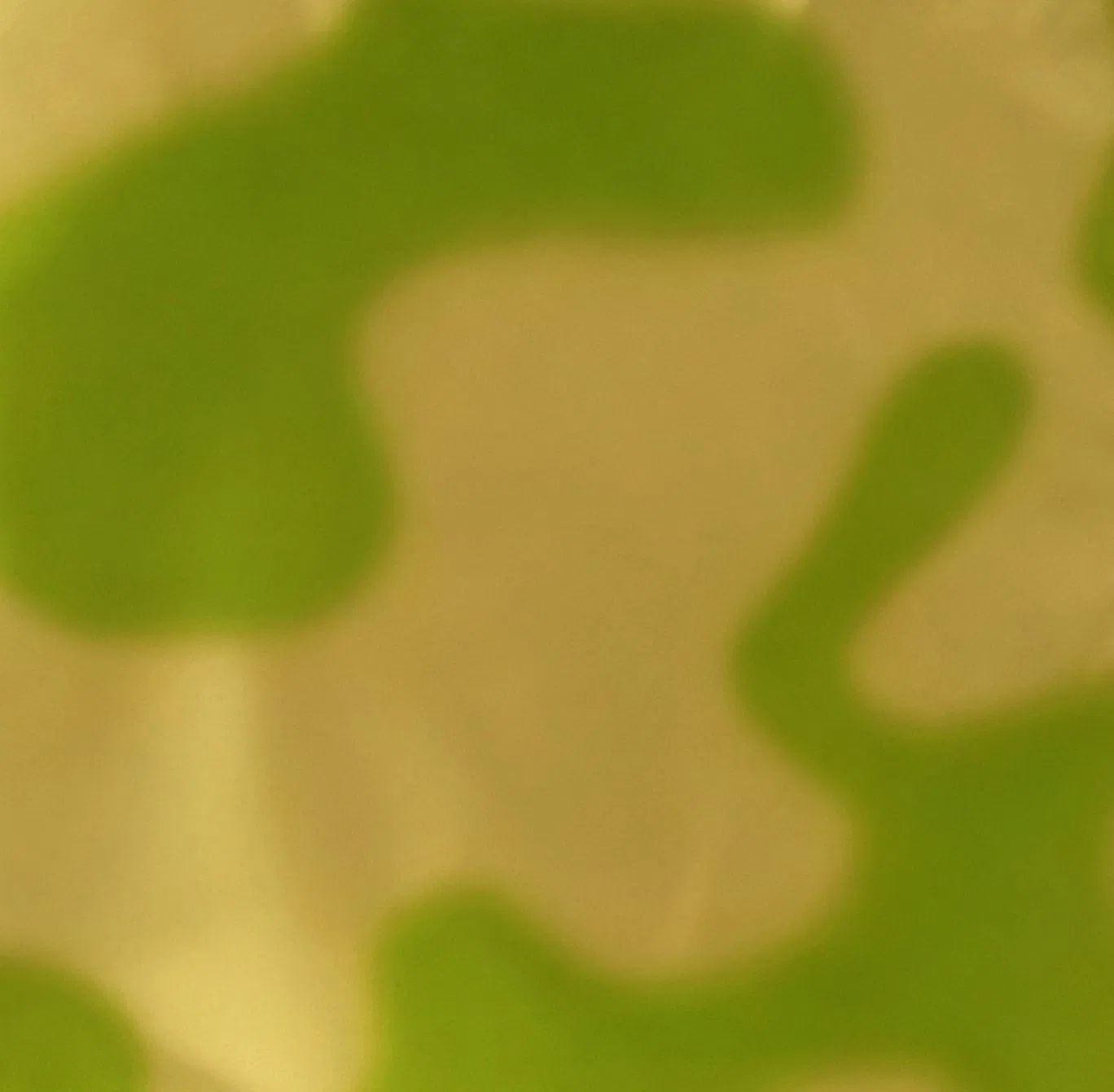 Premium Fresh Fruit Green Composite Printing Film Options