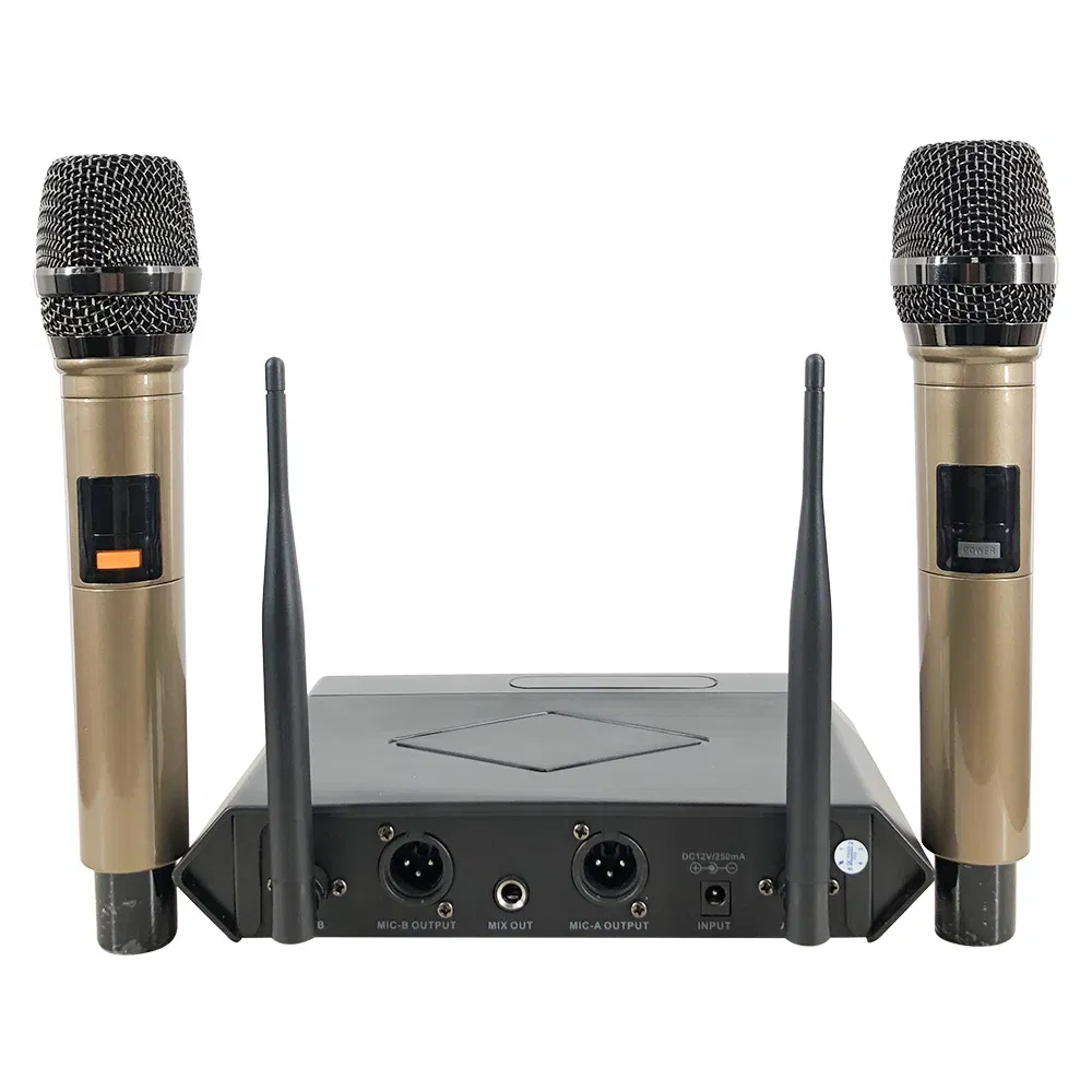 Microphone Karaoke Mic with Two Microphone for Singing Karaoke KTV Outdoor Performance