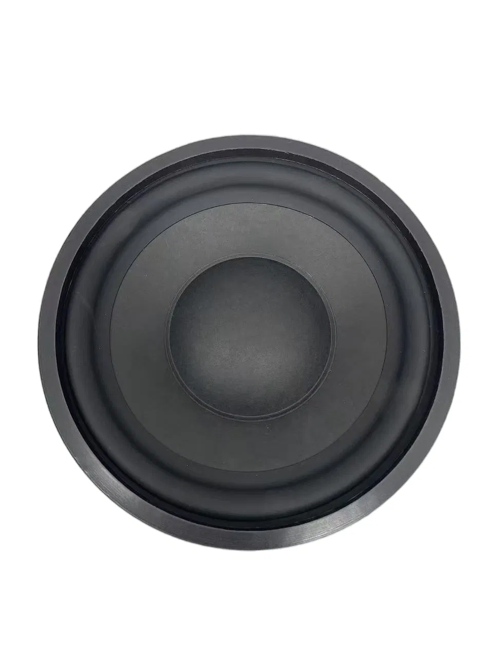 Durable 10 Inch PA Speaker for Events and Gatherings