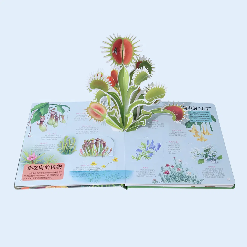 2026 New Factory Direct 3D Pop-up Educational Story Book Printing for Kids