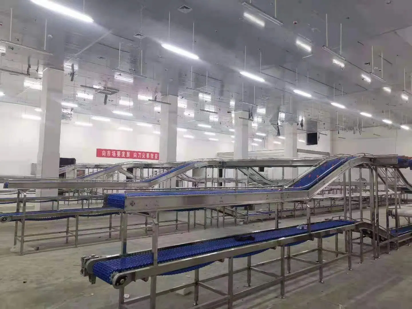 High Qualityztl-500 Slaughter Conveyor Belt Packing Conveyor Belt