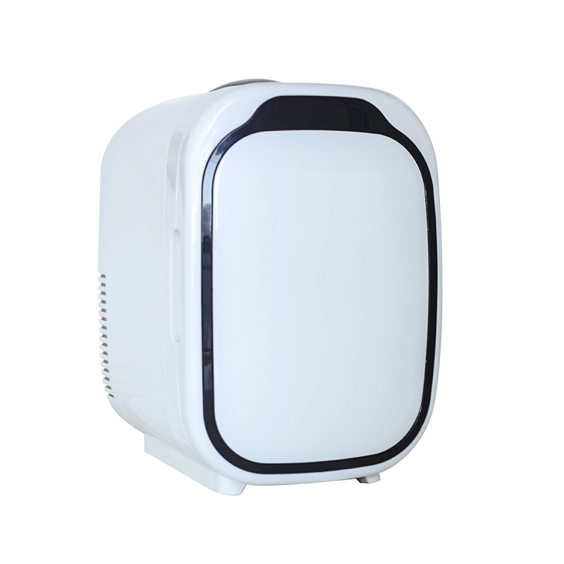 4L/6L/8L 220V Commercial Makeup Cosmetic Electric Refrigerator for Skincare Mini Fridge