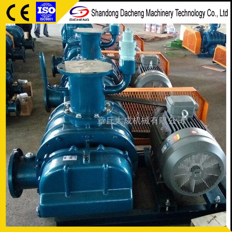 Dsr200V Competitve Price High Efficiency Roots Vacuum Blowerfor Air Exhaust