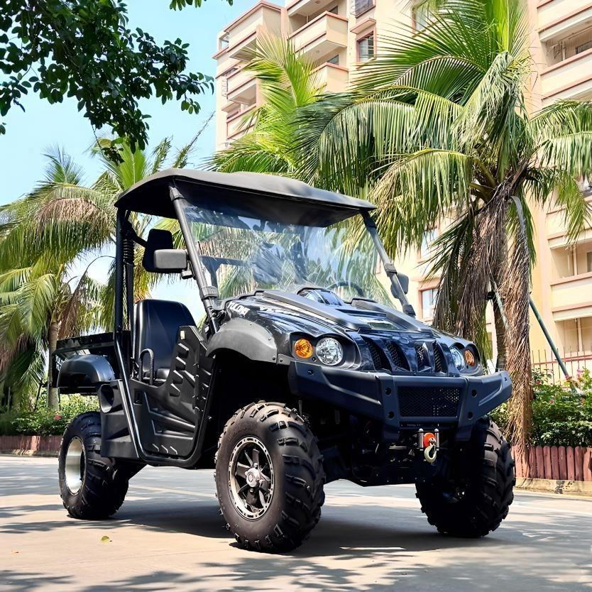 400cc 800cc Side-by-Side Sxs Gasoline Utility Vehicle 2-Seater off-Road Farm UTV Buggy