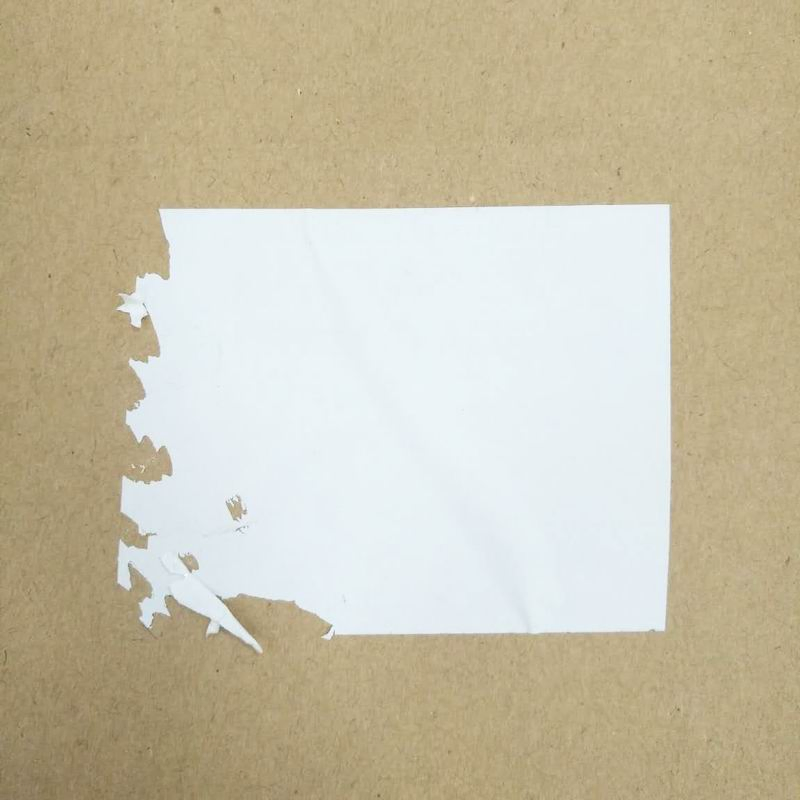 Tamper Evident Label Printing Material Egg Label Destructible Label Vinyl