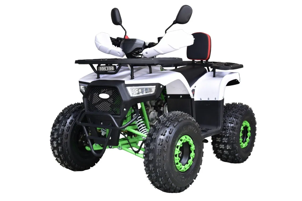 110cc ATV 125cc ATV for Kids