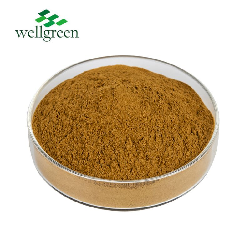 Best Price Dry Fruit Body Broken Polypore Fresh Ganoderma Lucidum Mycelium Spore Powder