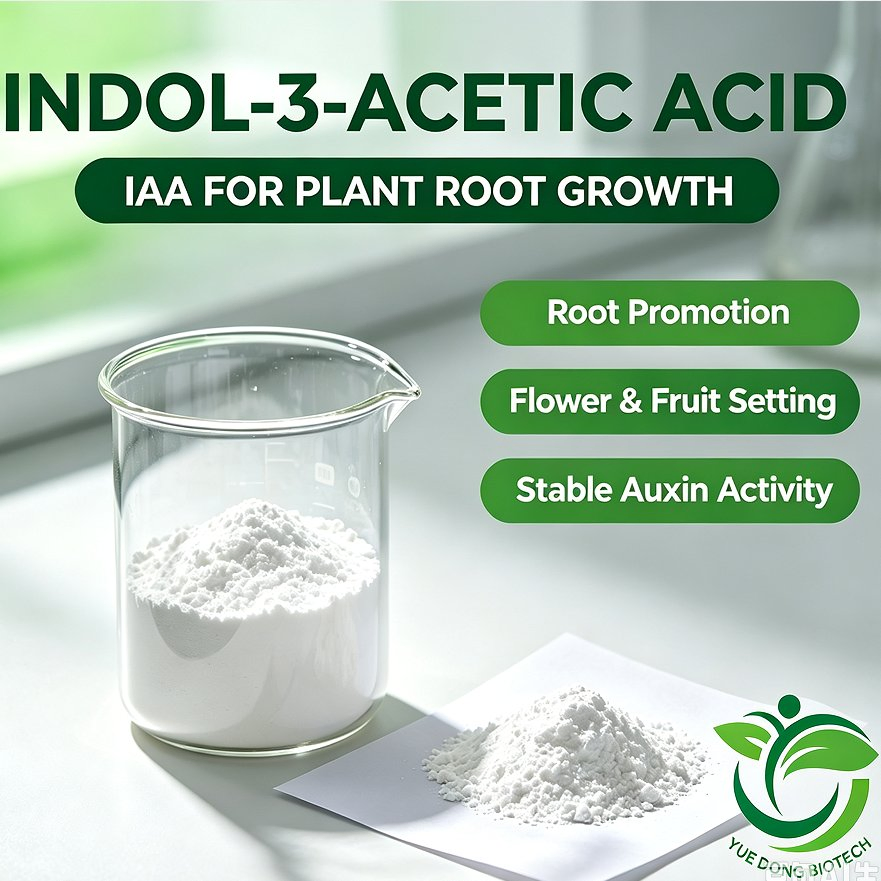 CAS 87-51-4 98% Tc High Purity Iaa Plant Root Regulator