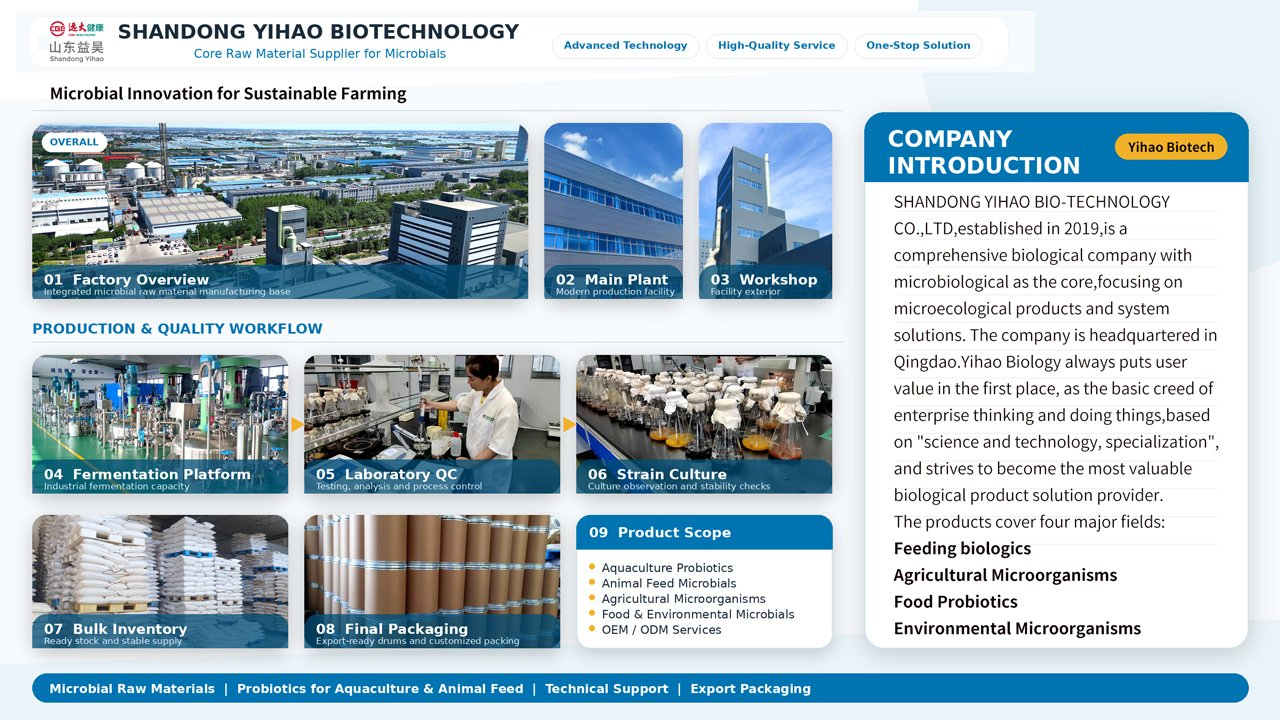 Agricultural Bacillus Subtilis Powder for Crops with 10 Billion Cfu