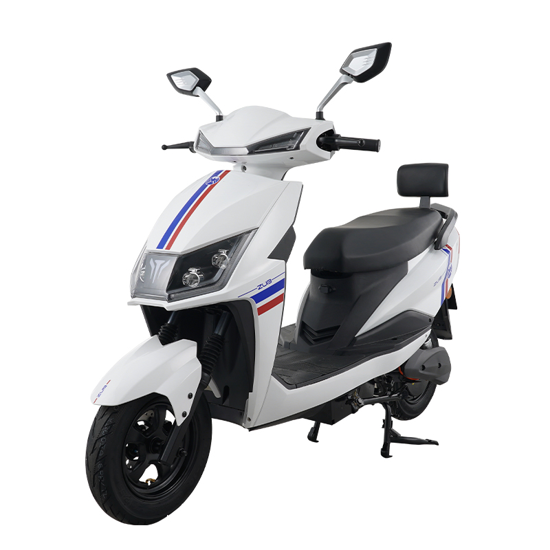 Zuboo Daily Use Long Range 10 Inch Brushless DC Motor Delivery E Electric Motorcycle