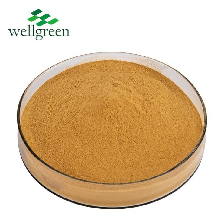 Pure Coffee Organic Biotechnology Double Extracted Dried Lions Mane Mushroom Extract Powder