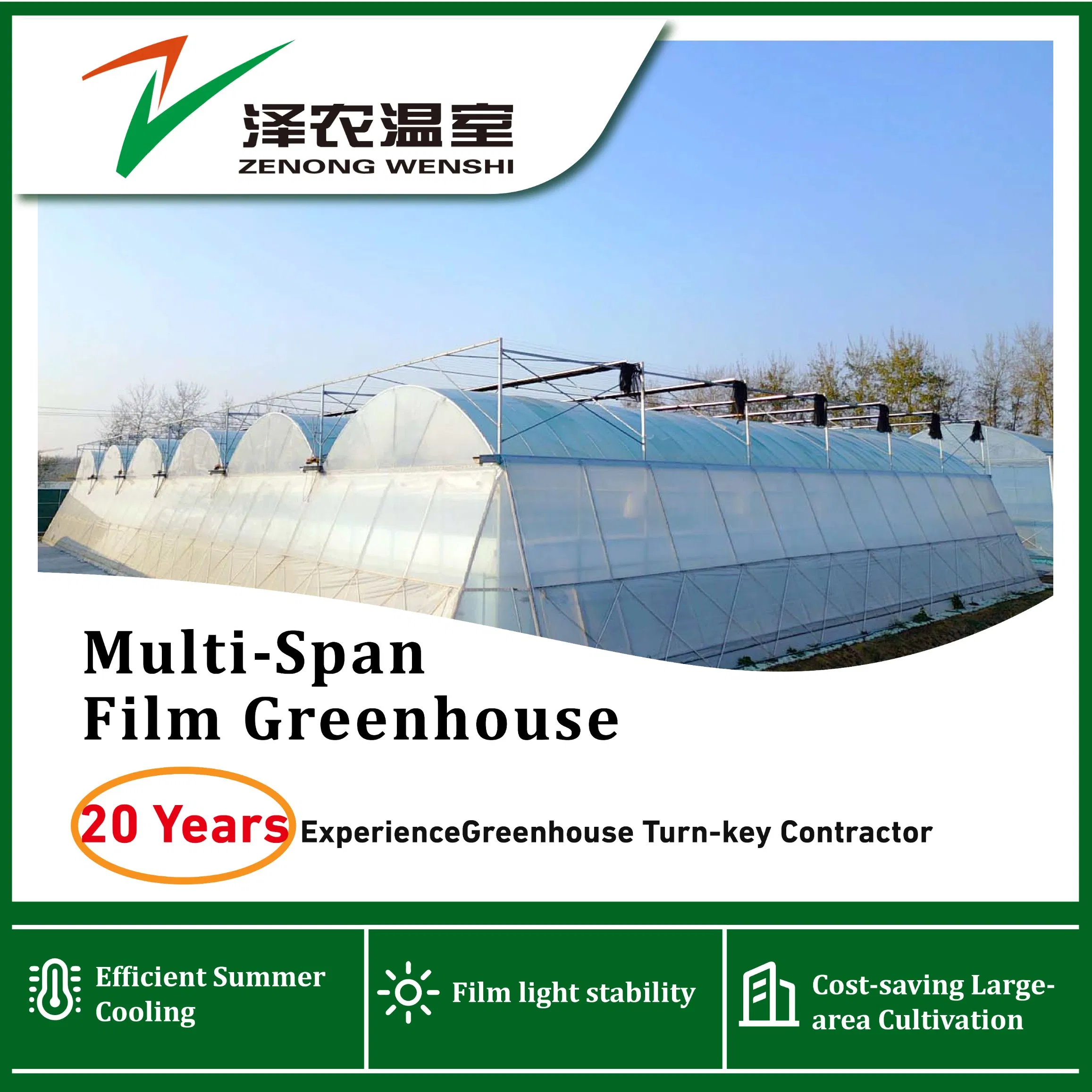Custom Multi-Span Film Greenhouse for Commercial Vegetable Planting