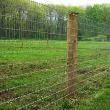 High Zinc Coating Hinge Joint Cattle Paddock Fence Farm Fence