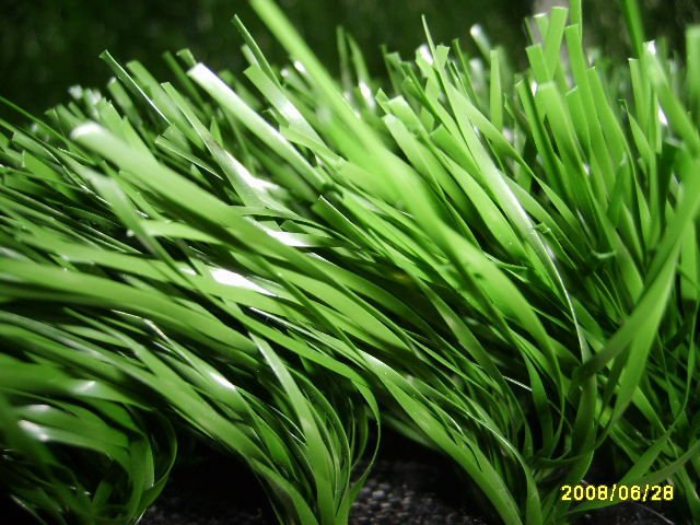 High-Quality Artificial Grass with Cheap Price/ Artificial Grass Turf /Synthetic Grass