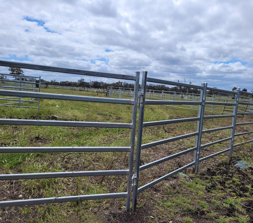 Wholesaler Cattle Yard Panels Australia /Portable Cattle Yard Panel Fence / Used Livestock Panels