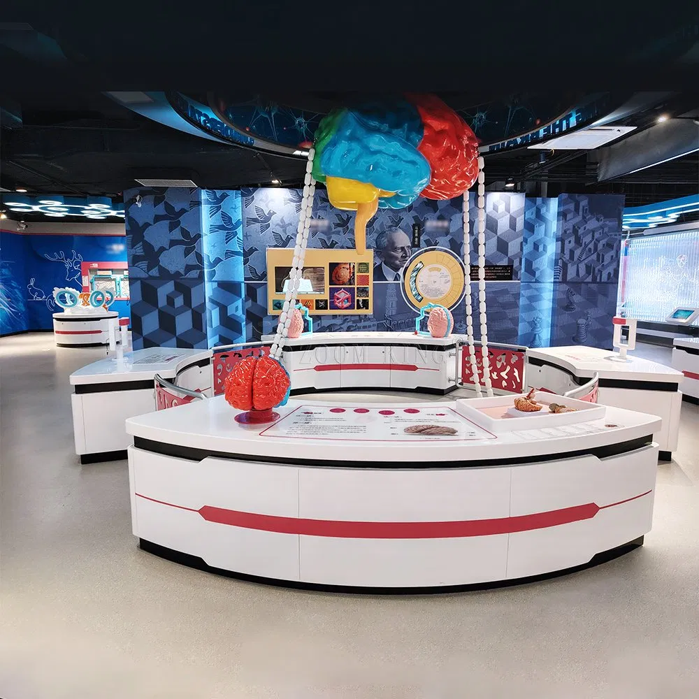 Interactive Brain Exhibit: The Essence of The Brain Educational Equipment Stem Learning Exhibit Children's Science Museum Brain Model
