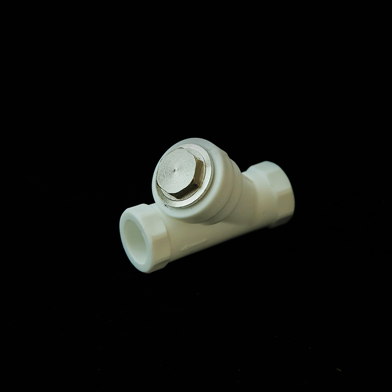 PPR Pipe Fitting Brass Insert Plug Plastic Water Filter PPR Filter for Plumbing Fittings Plastic Pipe Solutions