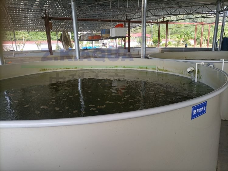 Piscicultural Ras Application and Recirculating Aquaculture System for Fish Farm