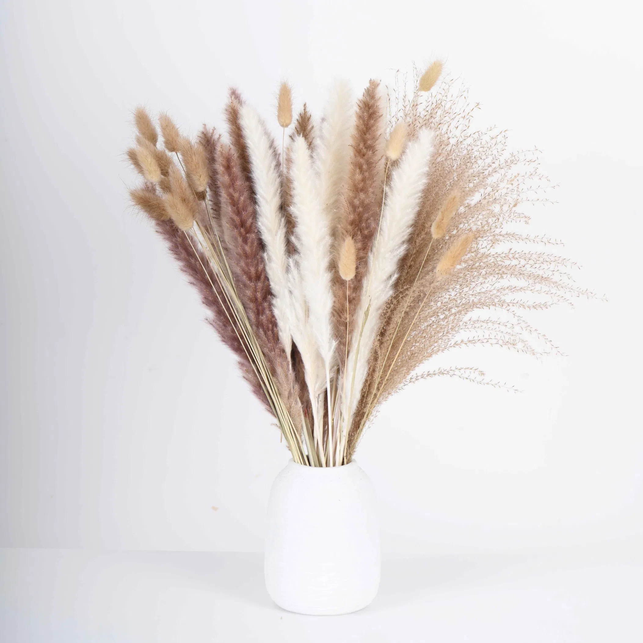 Factory Price Amazon Hot Sell Natural Dried Flowers Bouquet Pampas Grass Bunny Tails Reed Grass Flower Bouquet for Home