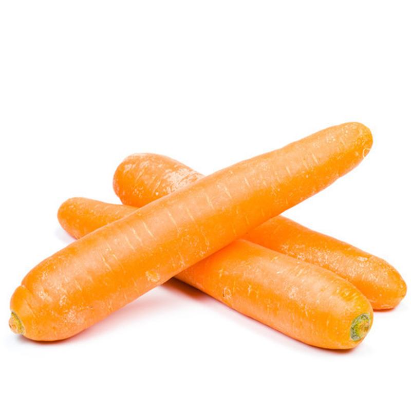 Sweet Crisp Chinese Orange Red Purple Fresh Long Carrots for Food Processing Export