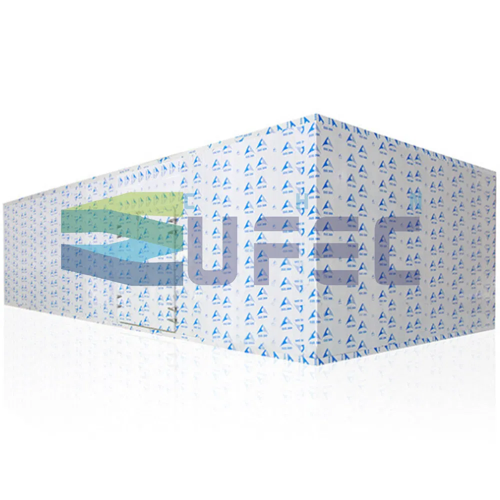 Walk in Freezer Cold Storage Room Fruit Meat Vegetable