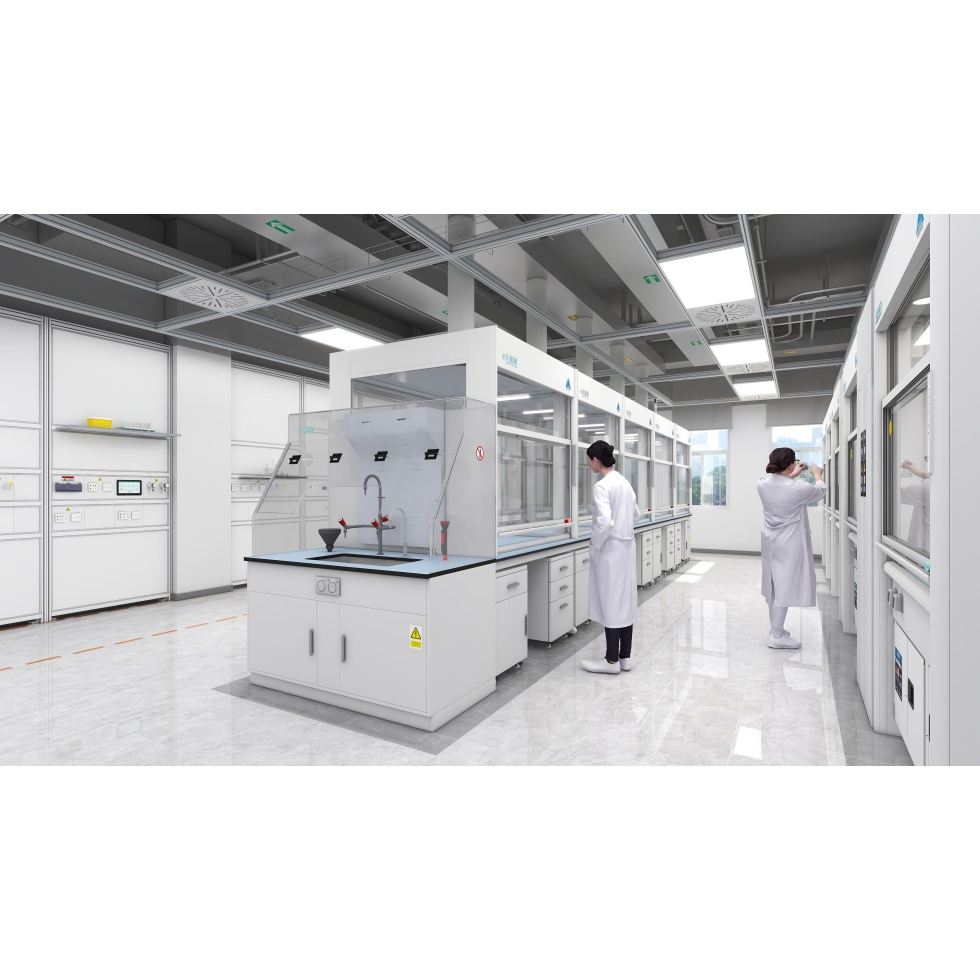 Large Inventory Compliant Corrosion Resistant Lab Fume Hood for Experiment