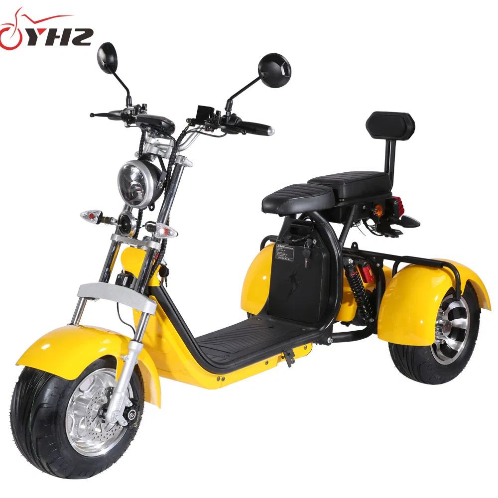 EU Warehouse Door-to-Door Delivery Adult 2000W Electric Scooter EEC 3 Wheels Golf Citycoco Double Seats Trike 45km/H with Dual 60V 20ah Lithium Battery