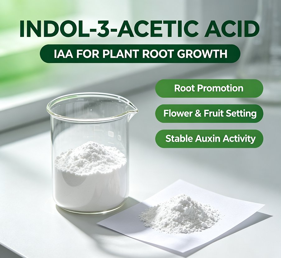 (IAA) Indole-3-Acetic Acid 98% Tc CAS 87-51-4 Natural Auxin Plant Growth Regulator for Rooting